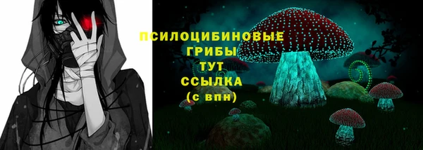 прущие грибы Абаза