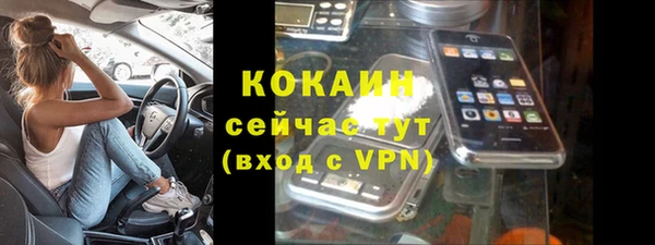 прущие грибы Абаза