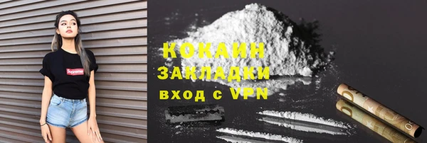 прущие грибы Абаза