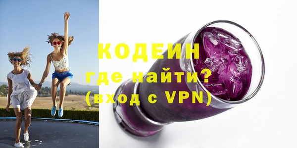 прущие грибы Абаза