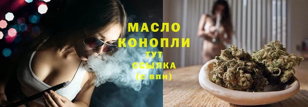 прущие грибы Абаза