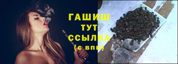 прущие грибы Абаза