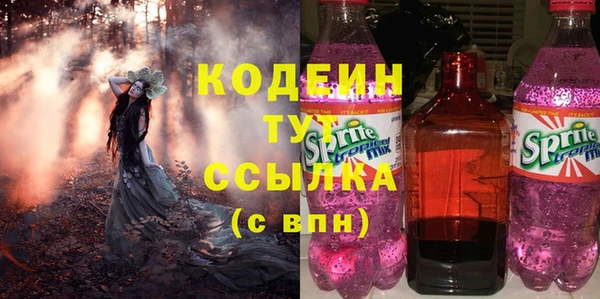 прущие грибы Абаза