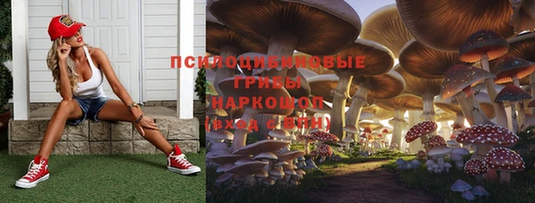 spice Абдулино