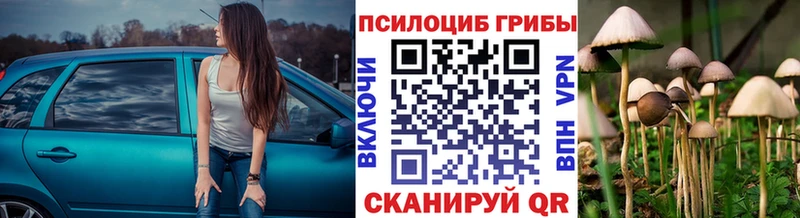 Псилоцибиновые грибы MAGIC MUSHROOMS  Кяхта 